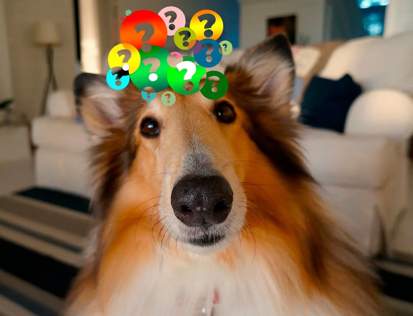 最佳软件是什么..