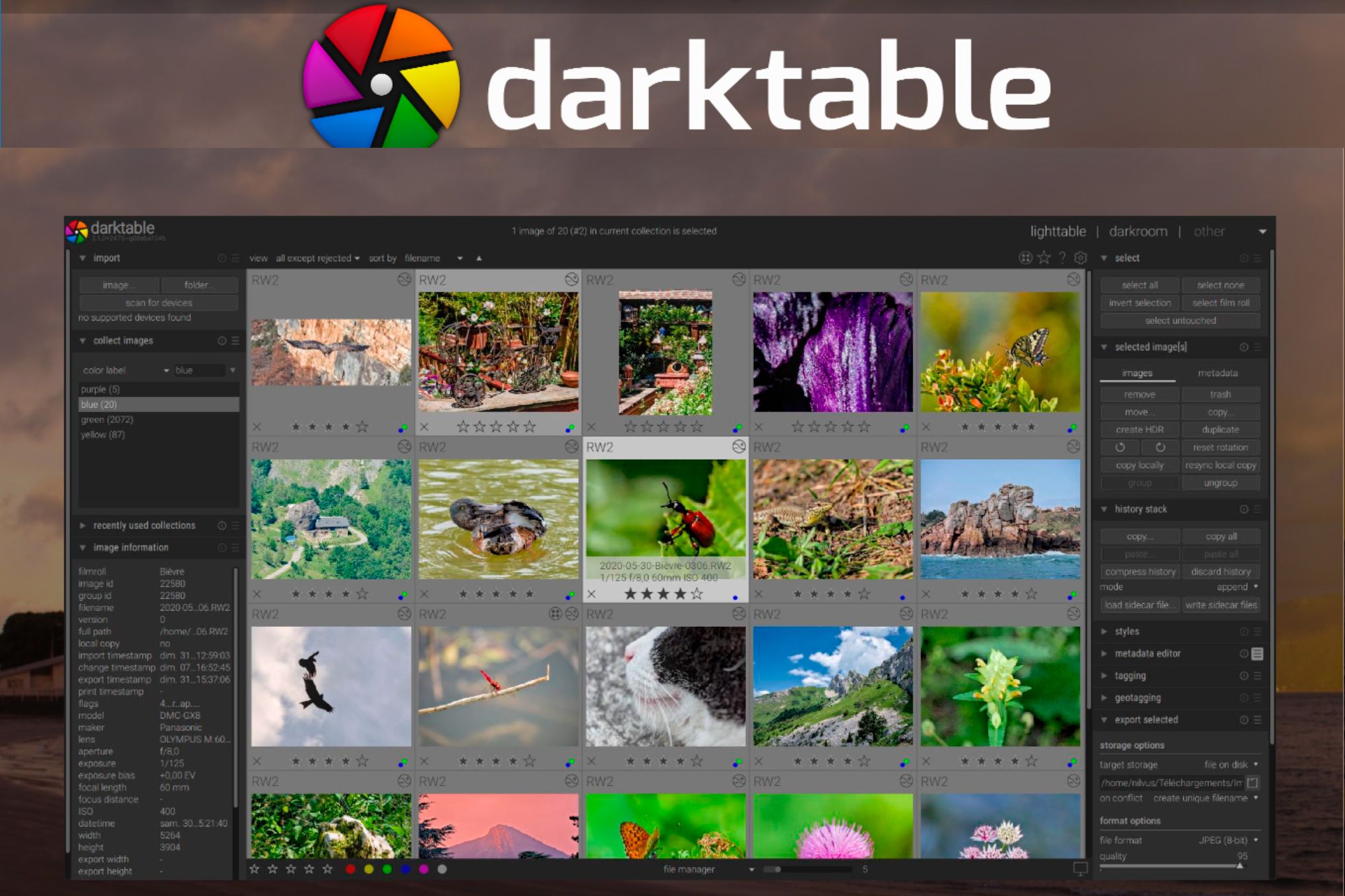 Darktable 作为佳能原始图像转换器的替代方案..