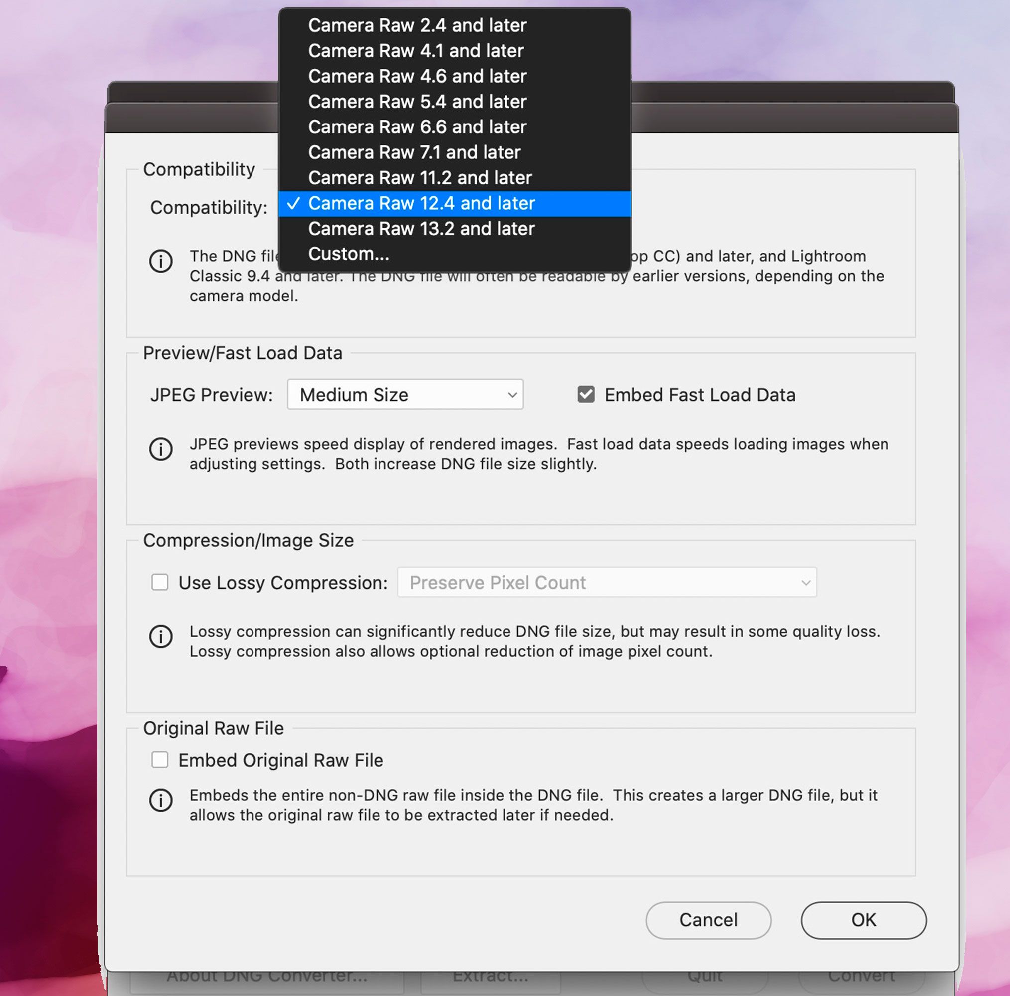 Adobe DNG转换器截图，兼容性首选项..