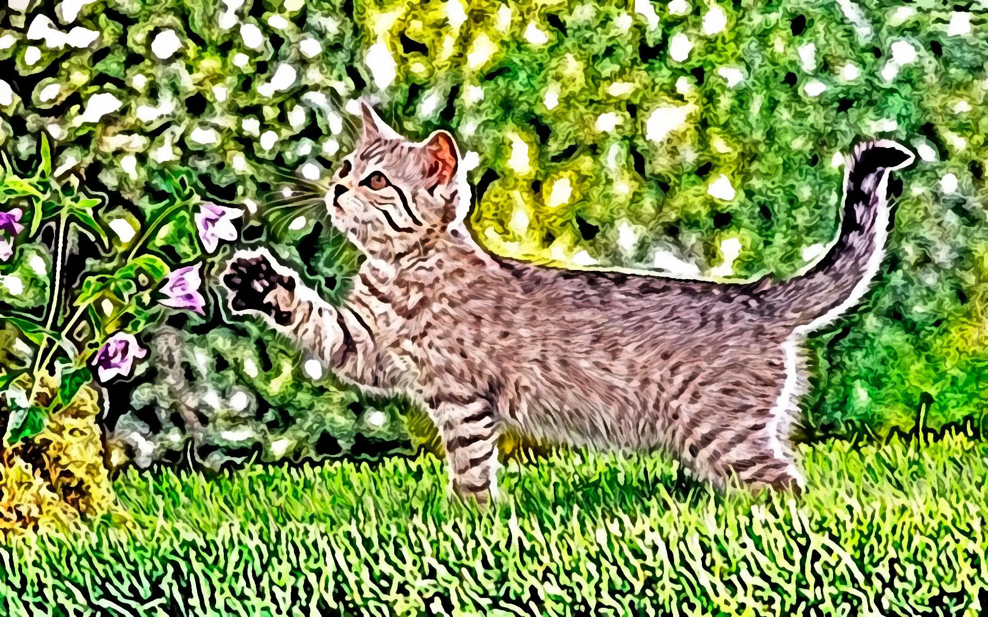 将照片转化为数字水彩杰作..