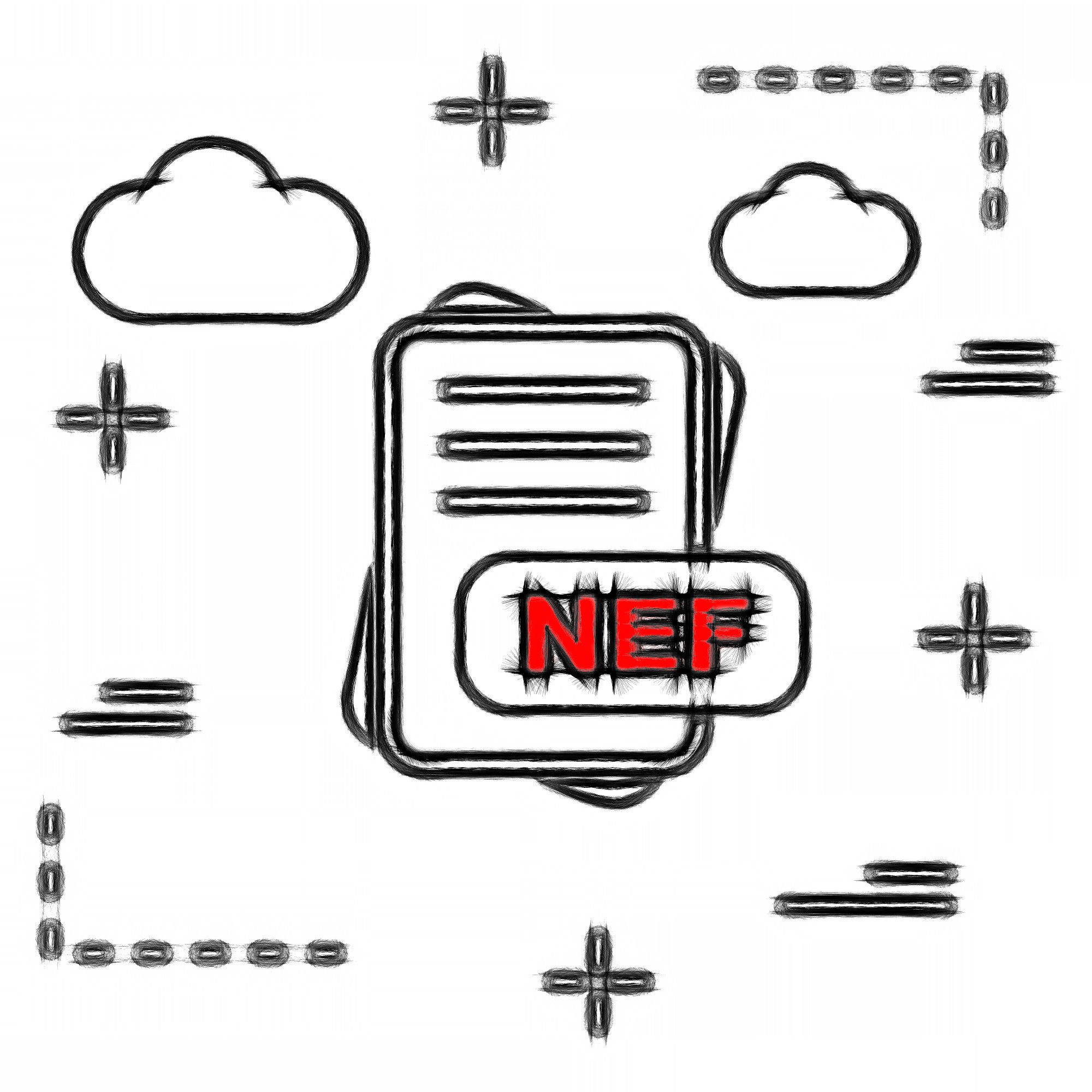 NEF文件格式..