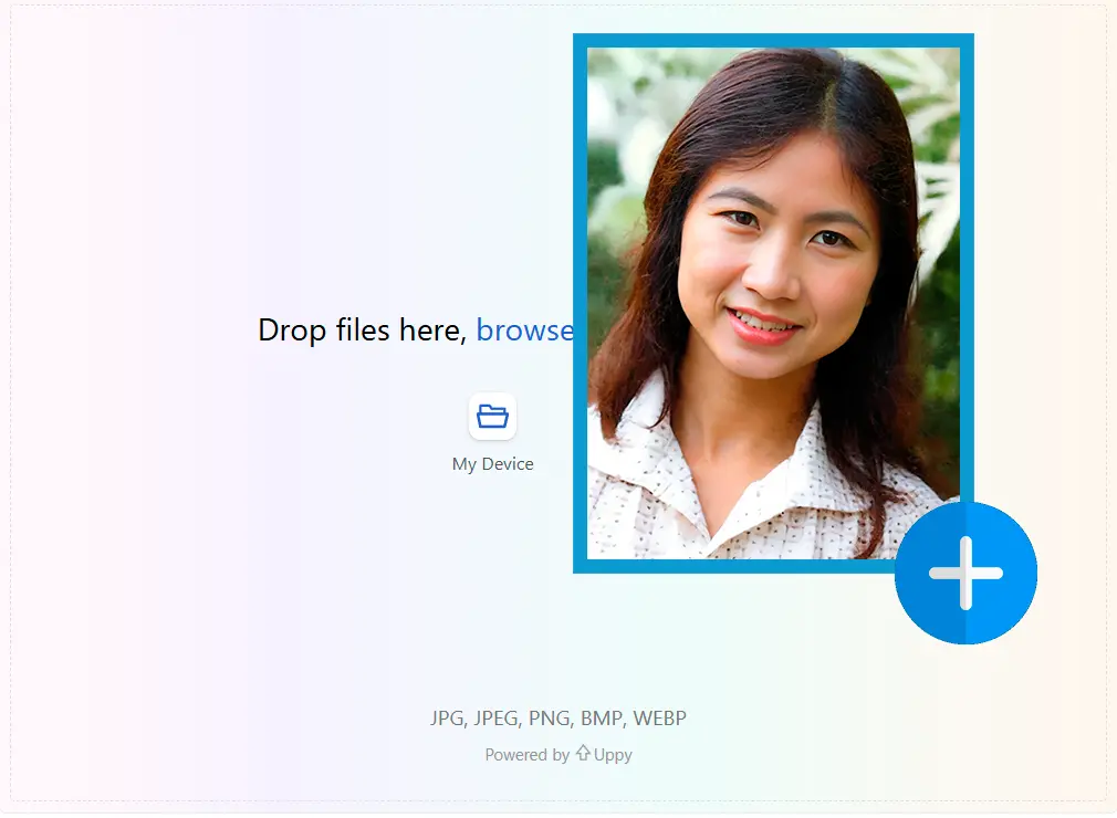 （可选）输入自定义提示.
