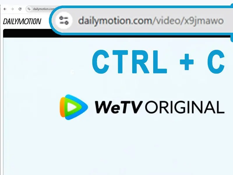 复制并粘贴Dailymotion的视频URL.
