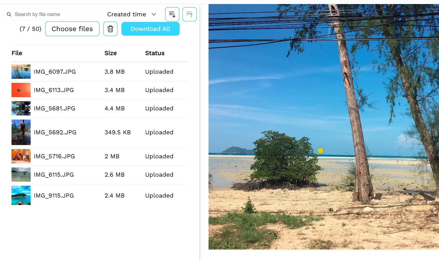 （可选）处理更多图像.