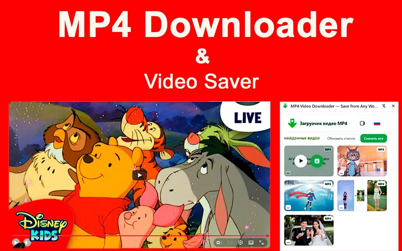 MP4 Downloader & Chrome 扩展限制.